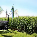 Kompleks wypoczynkowy Park Nieuwgrapendaal