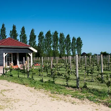 Park Nieuwgrapendaal Parco vacanze *