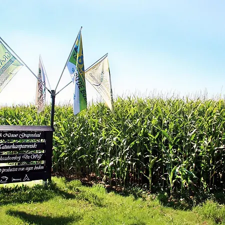 Parco vacanze Park Nieuwgrapendaal