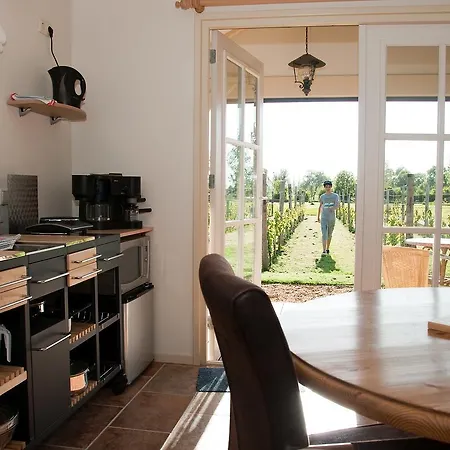 Parco vacanze Park Nieuwgrapendaal Terwolde