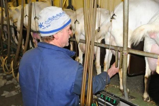 Park Nieuwgrapendaal Kompleks wypoczynkowy Terwolde