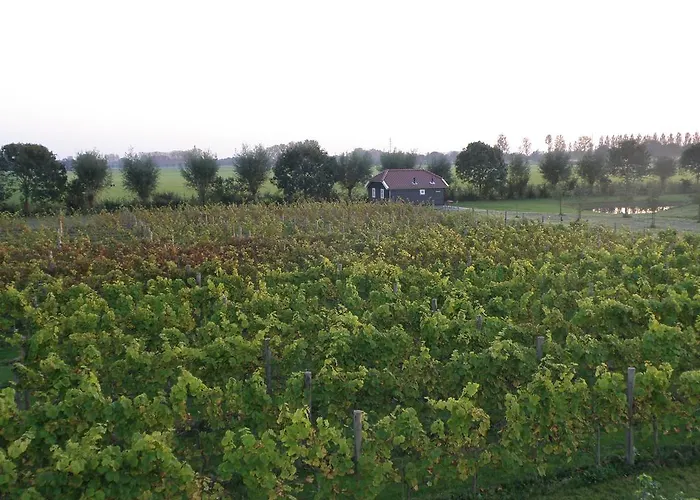 Park Nieuwgrapendaal *