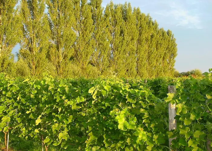 Park Nieuwgrapendaal *