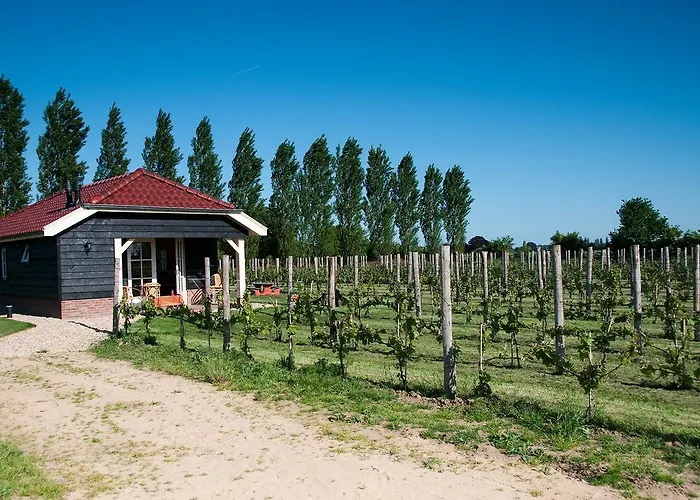 Park Nieuwgrapendaal Kompleks wypoczynkowy *