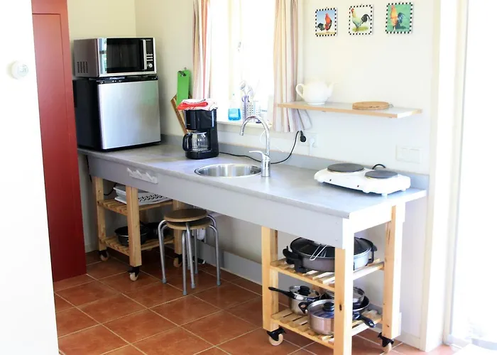 Park Nieuwgrapendaal Tatil parkı *