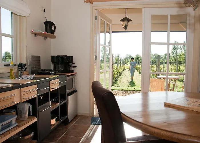 Kompleks wypoczynkowy Park Nieuwgrapendaal Terwolde