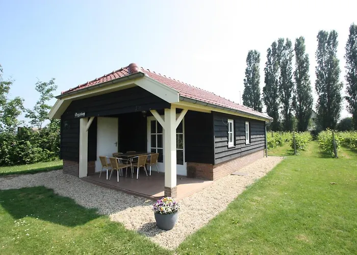 Park Nieuwgrapendaal Tatil parkı Terwolde