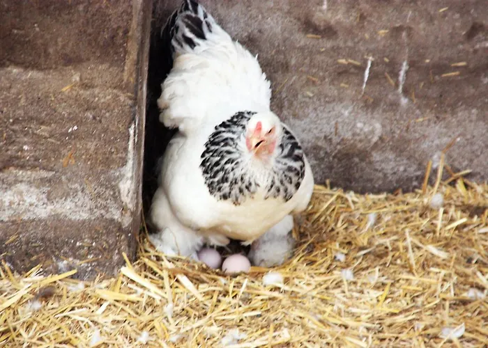 Park Nieuwgrapendaal * Terwolde