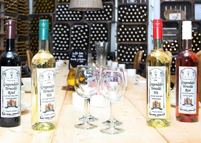 Park Nieuwgrapendaal Terwolde