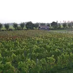 Park Nieuwgrapendaal *