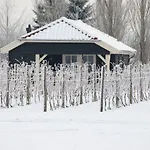 Park Nieuwgrapendaal *