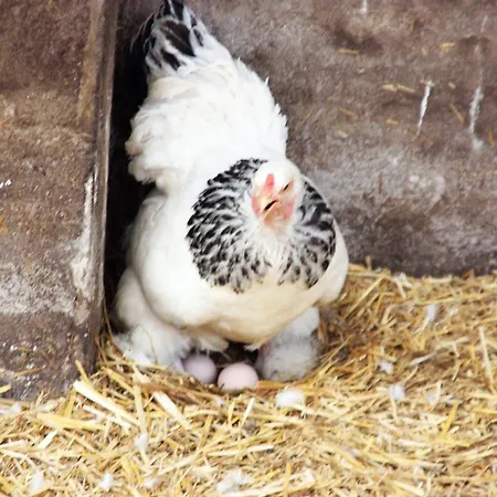 Park Nieuwgrapendaal * Terwolde