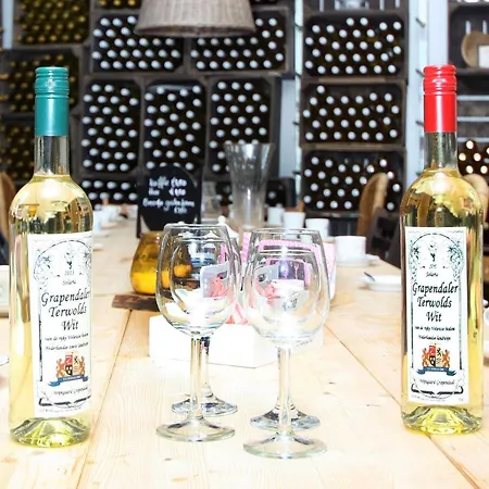 Park Nieuwgrapendaal Terwolde