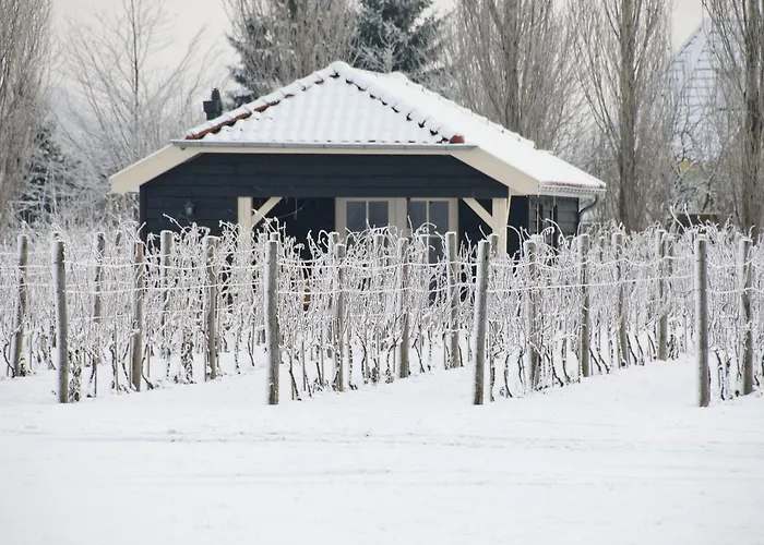 Park Nieuwgrapendaal *